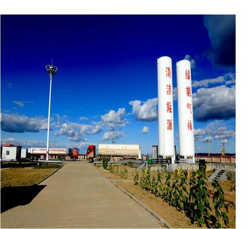 采油技術(shù)服務 提升油氣采收率的關(guān)鍵支撐